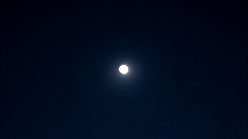 Moon - PHONE ONLY