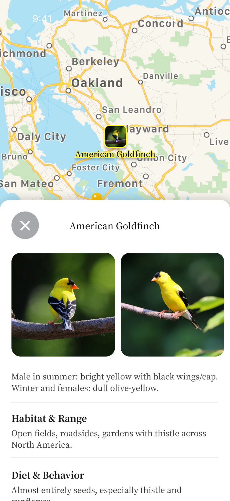 Find Nearby Hotspots